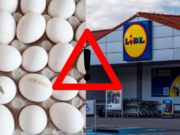Inšpekcia v šoku: Vajcia z Lidlu plné krvi, plesne a prasklín – toto nemalo ísť na pulty!